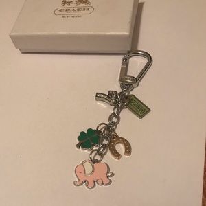 Lucky 🍀 keychain